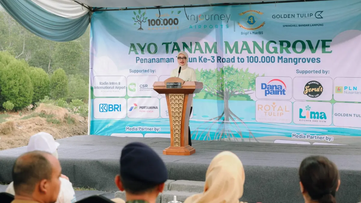 Lampung Plants 25,000 Mangroves in Pesawaran, Targets 100,000 Seedlings