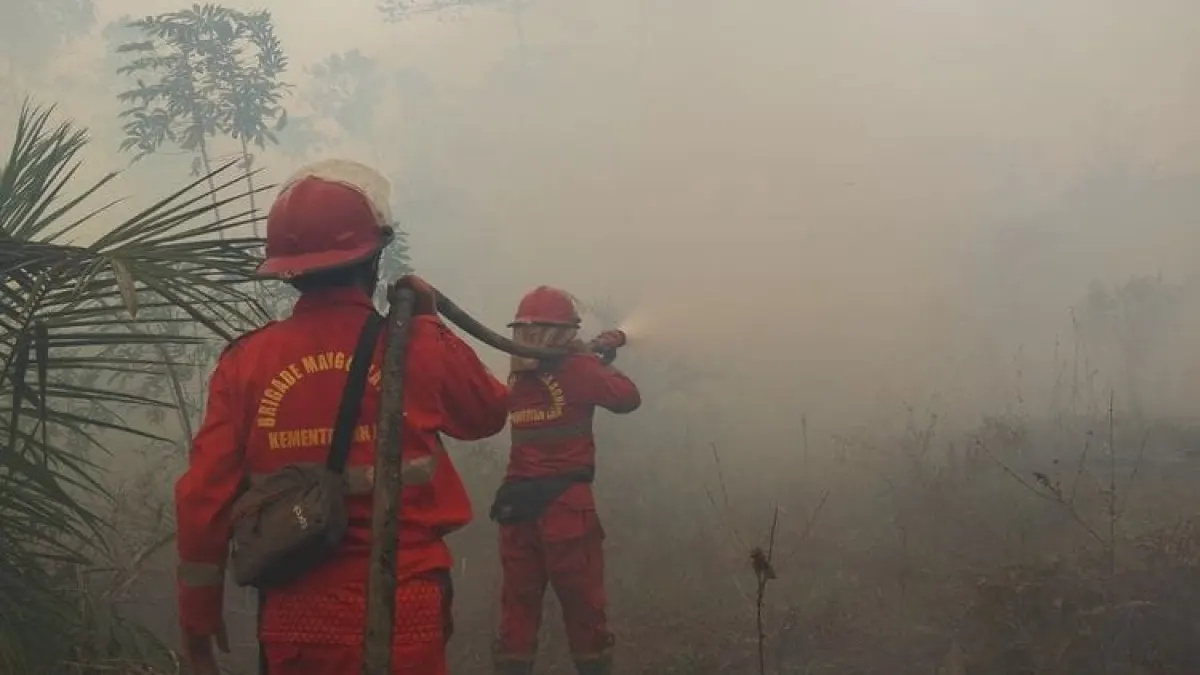 Hotspot Indonesia Capai 674 Titik, Kalteng dan Kalbar Jadi Fokus Pengendalian Karhutla