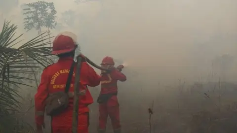 Hotspot Indonesia Capai 674 Titik, Kalteng dan Kalbar Jadi Fokus Pengendalian Karhutla
