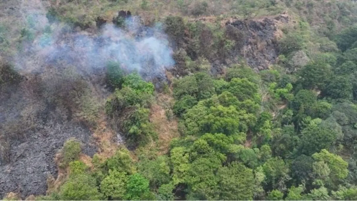 Mount Ciremai Fire Extinguished, 46.42 Hectares of Forest Area Burned