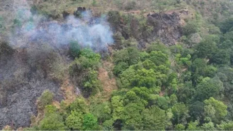 Mount Ciremai Fire Extinguished, 46.42 Hectares of Forest Area Burned