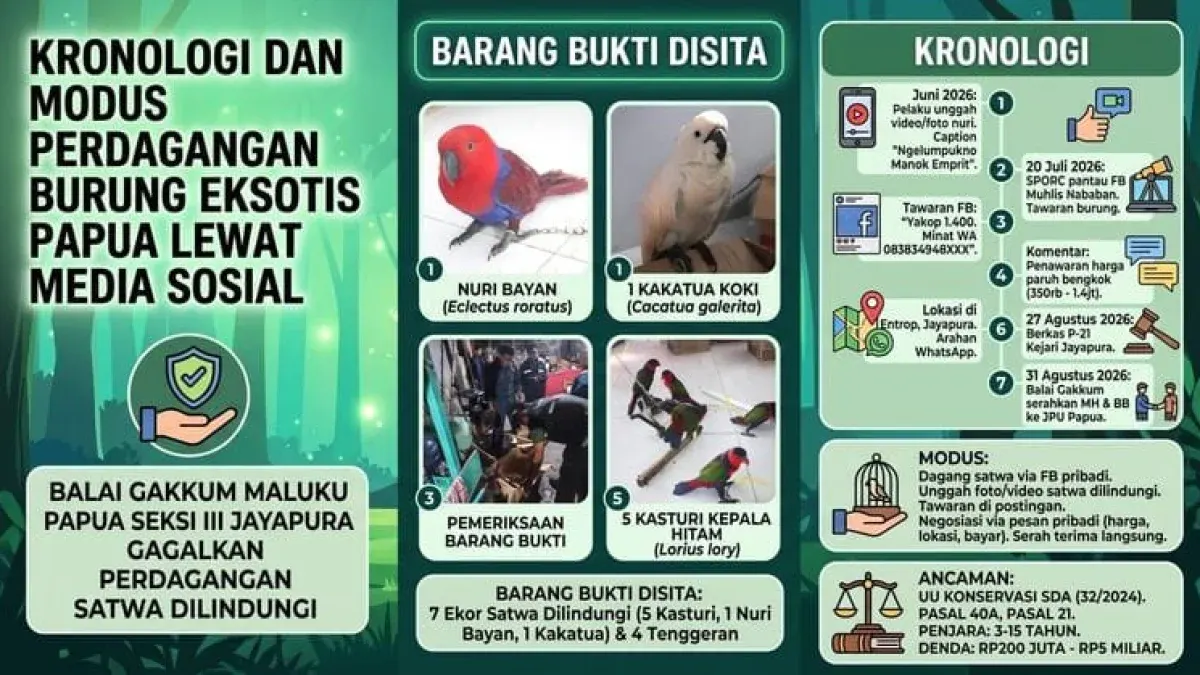 Jual Burung Dilindungi Papua di Facebook, MH Terancam 15 Tahun Penjara