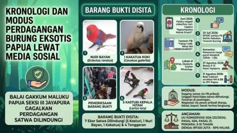 Jual Burung Dilindungi Papua di Facebook, MH Terancam 15 Tahun Penjara