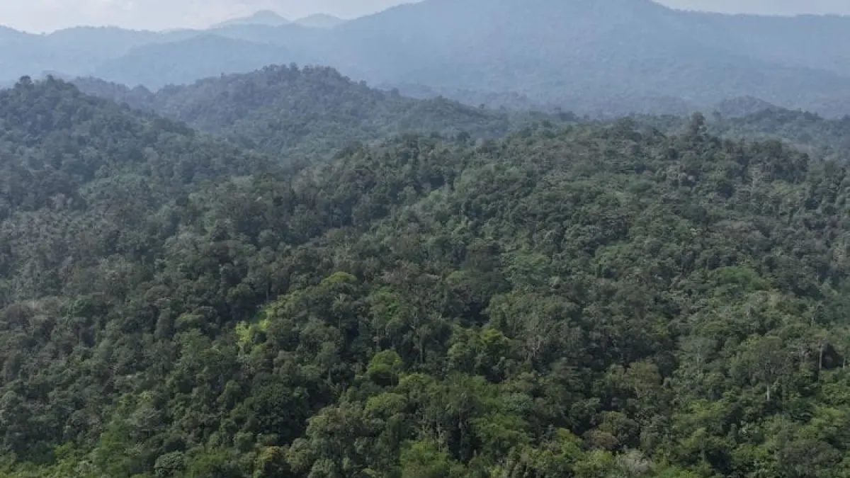 Residents Guard Bujang Raba Forest from Karhutla, Minister of Forestry Prepares Equipment for Five Village Forests