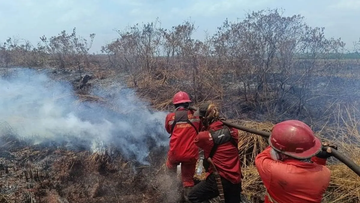 Kalimantan Forest and Land Fire Hotspot Soars, 3 Japanese Chinook Helicopters Ready for Water Bombing