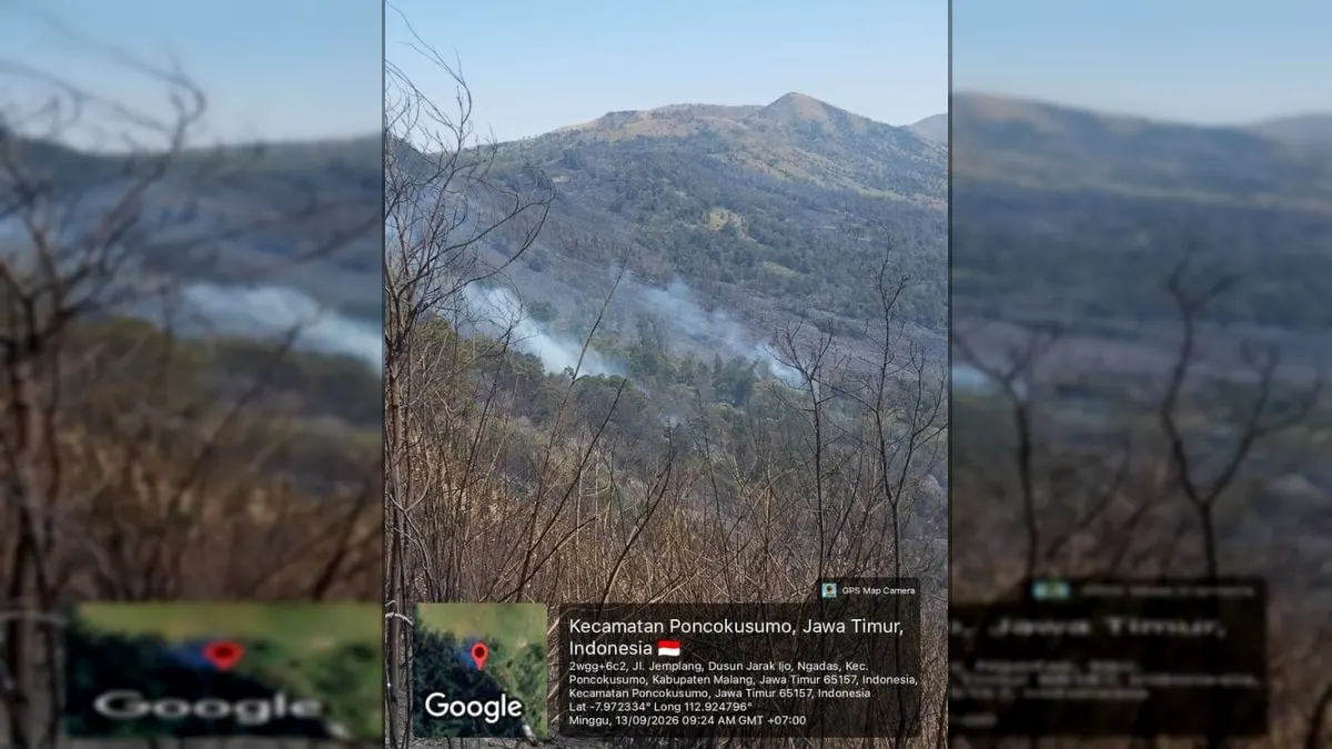 Bromo Fire Widespread to Jemplang, Tourism Closed Totally and Water Bombing Deployed