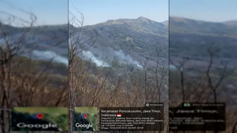Bromo Fire Widespread to Jemplang, Tourism Closed Totally and Water Bombing Deployed