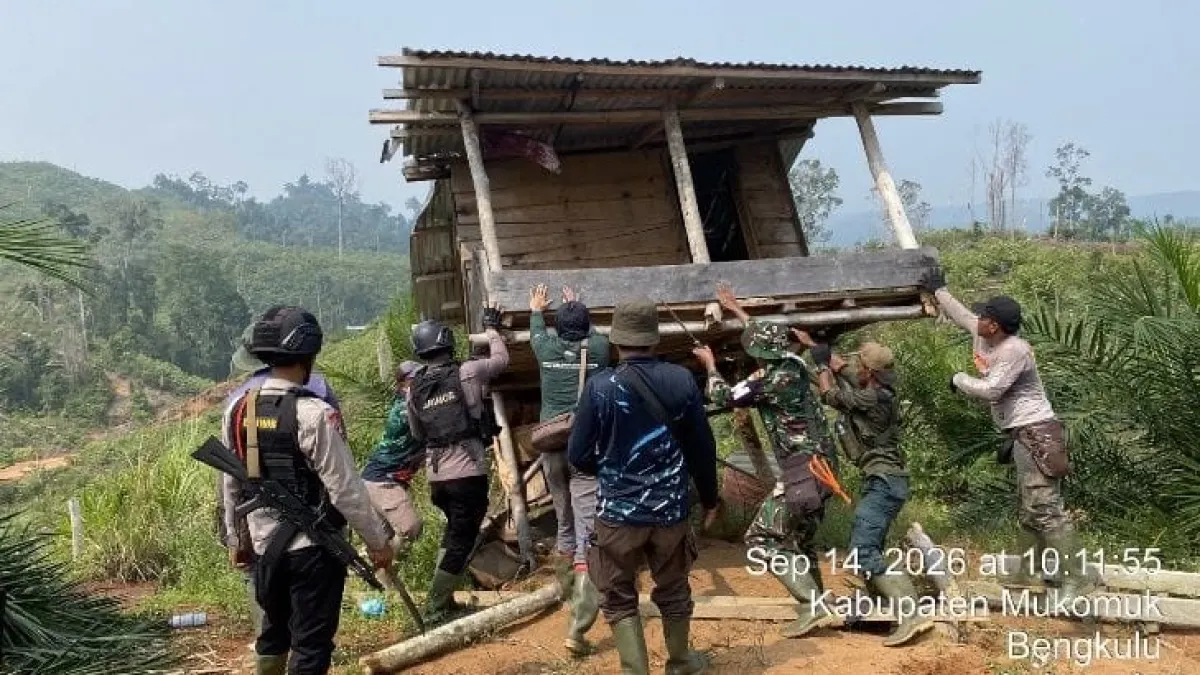 Mines Found on Sumatran Elephant Route, Ministry of Forestry Reclaims 300 Hectares of Seblat Forest