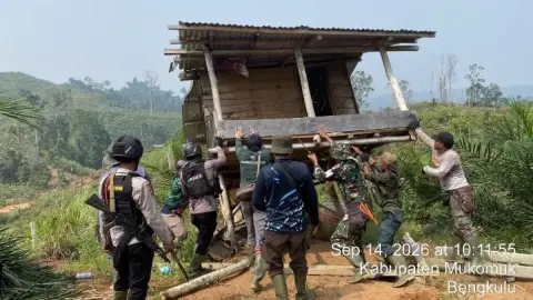 Mines Found on Sumatran Elephant Route, Ministry of Forestry Reclaims 300 Hectares of Seblat Forest