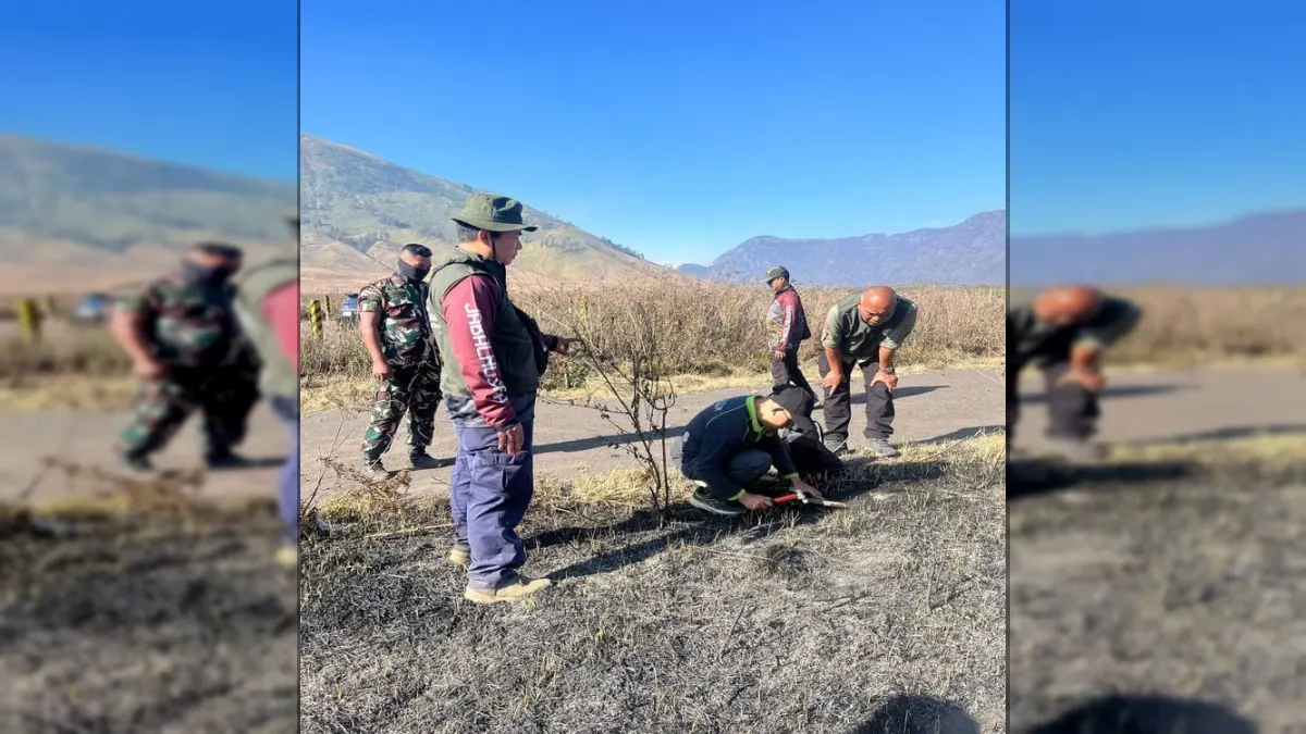 Ministry of Forestry Investigates Causes of Bromo Fire, Two Environmental Experts Involved