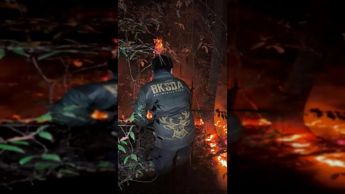 Ketika Hutan Terbakar, Yeye Menghadapi Api dan Keluhan Warga