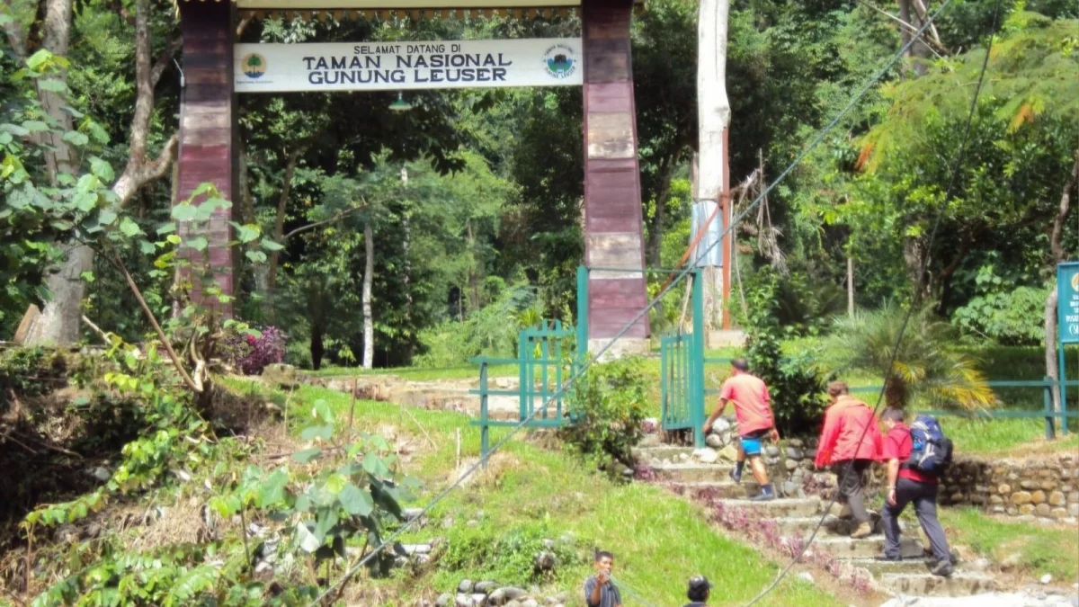 Ancaman Karhutla Tinggi, Sembilan Kawasan Pendakian Ditutup