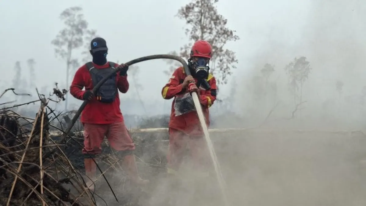 Hotspot Turun Jadi 487 Titik, Kebakaran Gambut dan Kualitas Udara Masih Jadi Perhatian