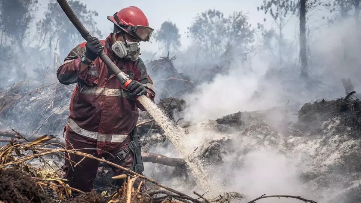 El Niño Memuncak, September Jadi Ujian Terberat Pengendalian Karhutla