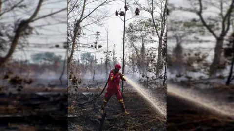 Forest and Land Fires Threaten Wildlife Habitat, Ministry of Forestry Strengthens Protection