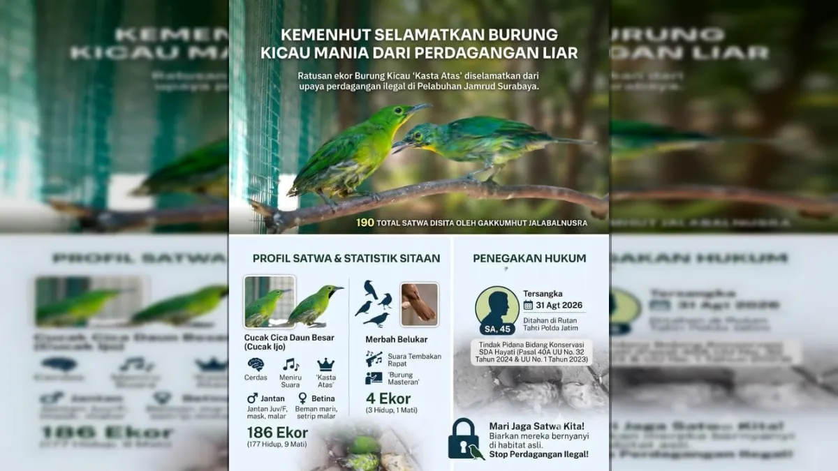 Perdagangan 190 Burung Digagalkan di Pelabuhan Surabaya, 10 Ditemukan Mati
