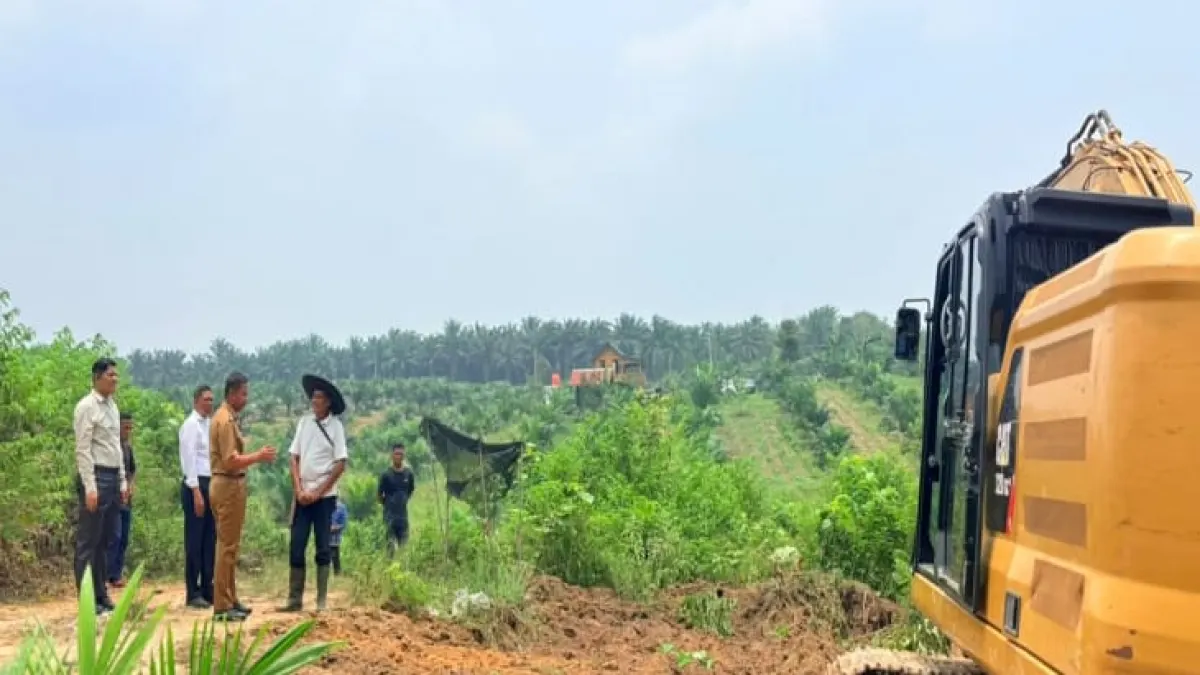 To prevent forest and land fires, Kampar Regency Government Deploys Heavy Equipment to Clear Land Without Burning