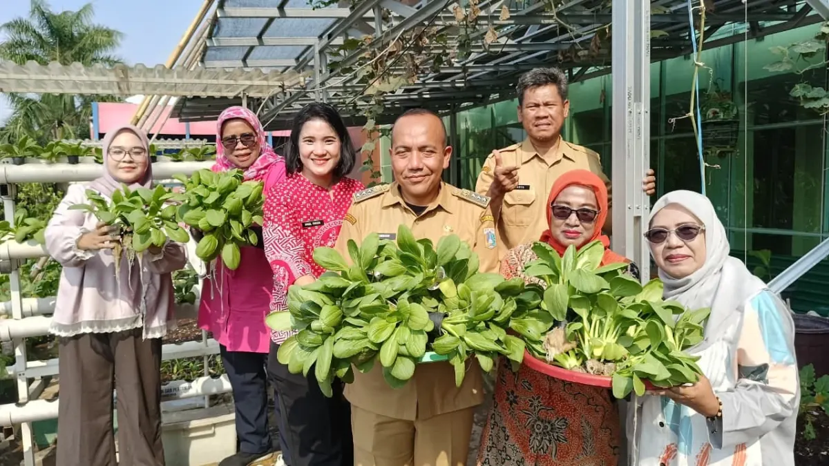 Urban Farming on the Roof of the Taman Sari District Head Office Harvesting Fish and Pokchoy