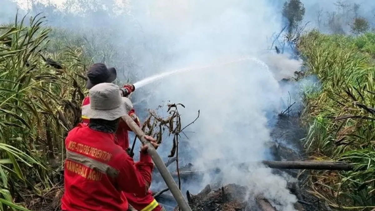 National Hotspots Decreased to 666 Points, South Sumatra (Sumsel) Actually Increased