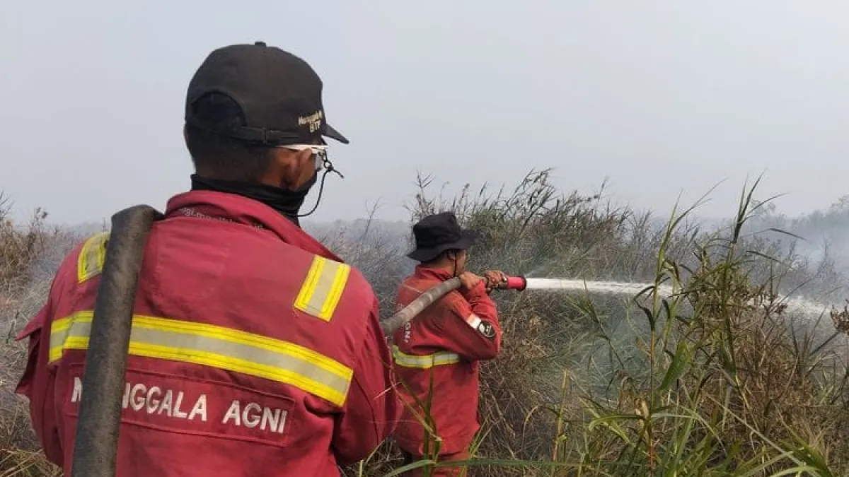 National hotspot Drops to 527 Points, Central Kalimantan (Kalteng) Actually Increases