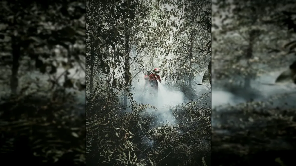 National Hotspots Down 63 Percent, Forest and Land Fire Smoke Still Covers Sumatra and Kalimantan
