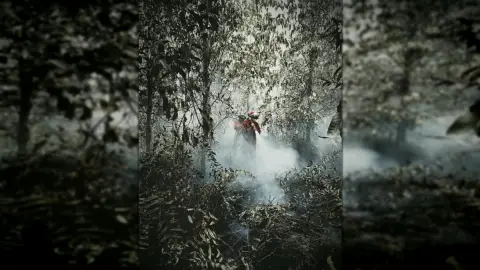 National Hotspots Down 63 Percent, Forest and Land Fire Smoke Still Covers Sumatra and Kalimantan