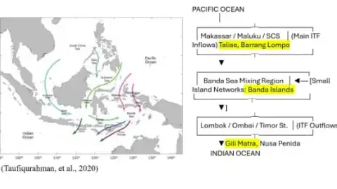 BRIN Strengthens Research on Small Islands to Face Ecosystem Change