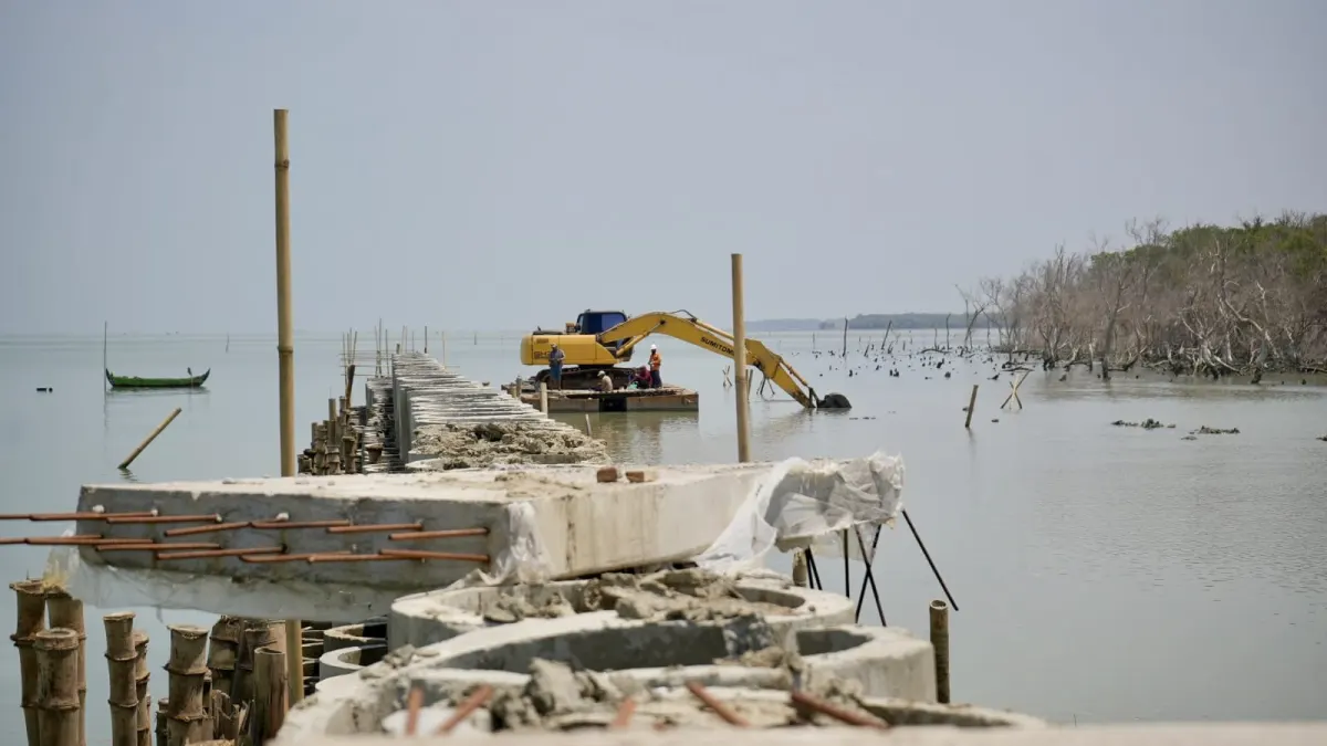 Concrete and Mangrove Combined to Prevent Abrasion in Sayung Demak