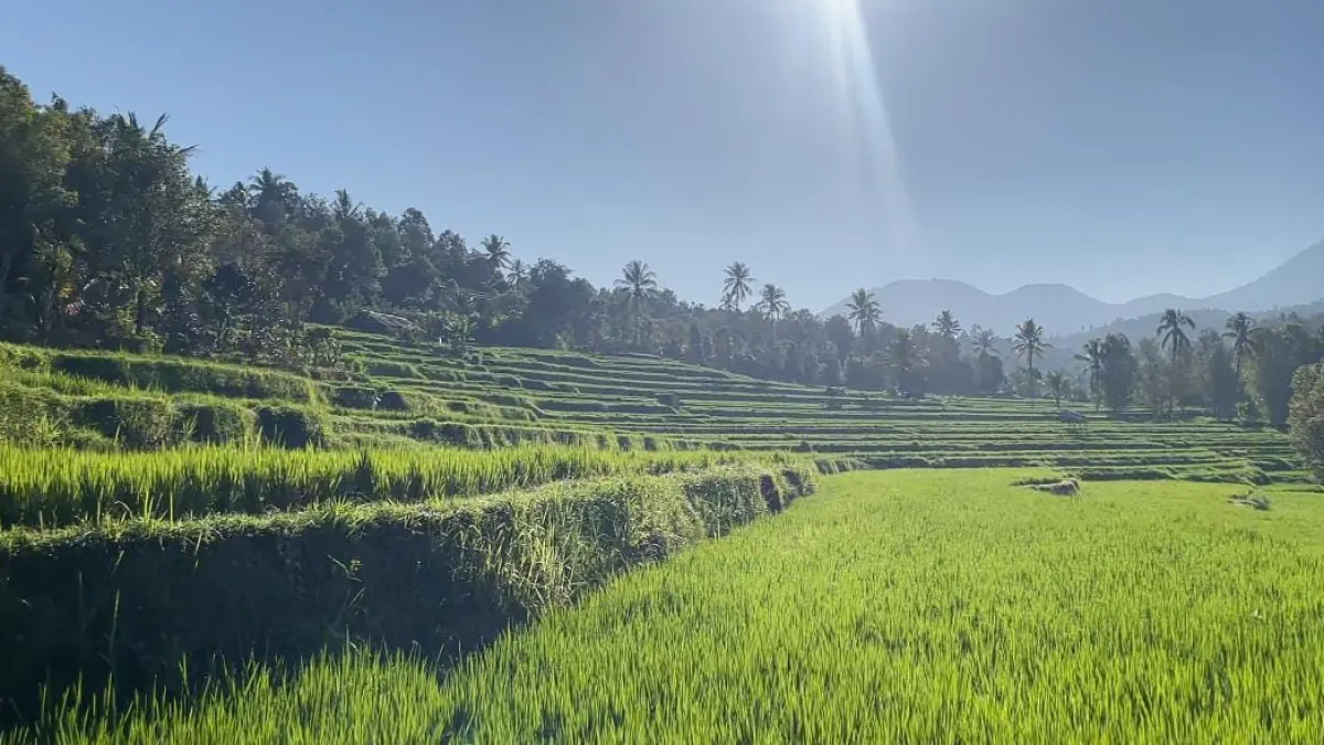 Desa Bengkel Buleleng Siapkan Wisata Alam dan Sejarah, Target Meluncur 2027