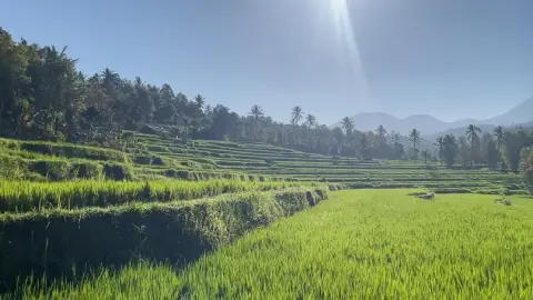 Desa Bengkel Buleleng Siapkan Wisata Alam dan Sejarah, Target Meluncur 2027