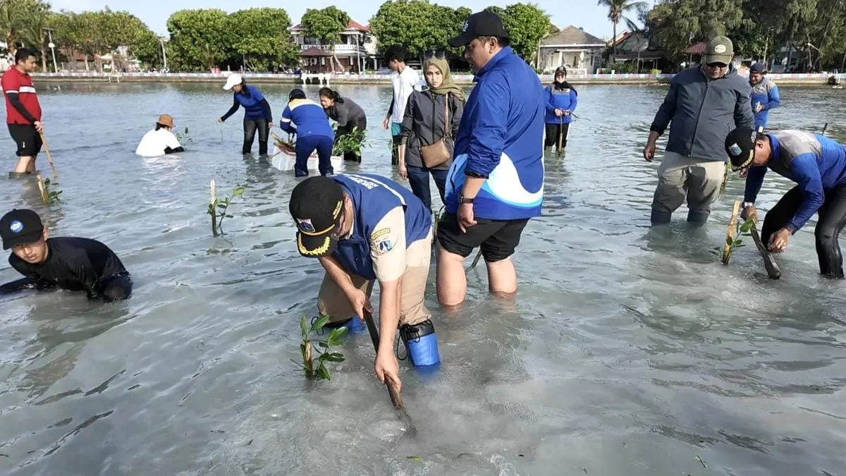 Lindungi Pesisir Lima Pulau, Kepulauan Seribu Siapkan 105 Ribu Bibit Mangrove