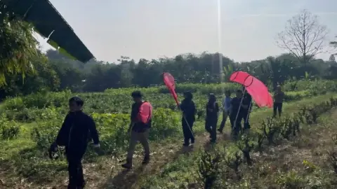 45 Anak Muda Susuri Hutan Dramaga untuk Lengkapi Data Biodiversitas