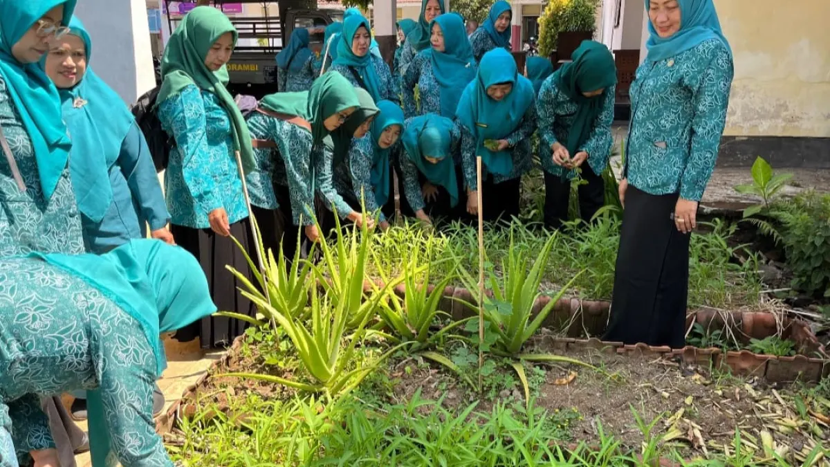 PKK Sukorambi Jember Rawat Kebun Sayur, Optimalkan Lahan Kantor Kecamatan