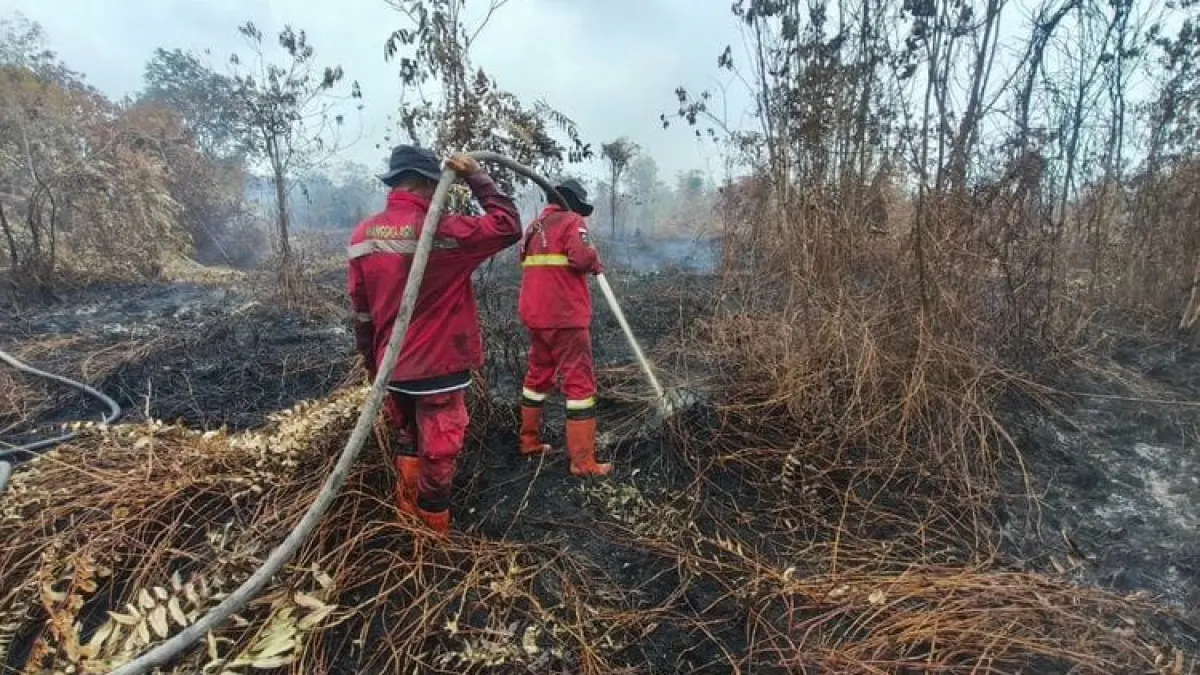 National Karhutla Hotspots Dropped to 567 Points, Ministry of Forestry Alerted 53 Air Fleets