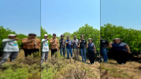 45 Ribu Mangrove Pulihkan 25 Hektare Pesisir Pulau Cangkir