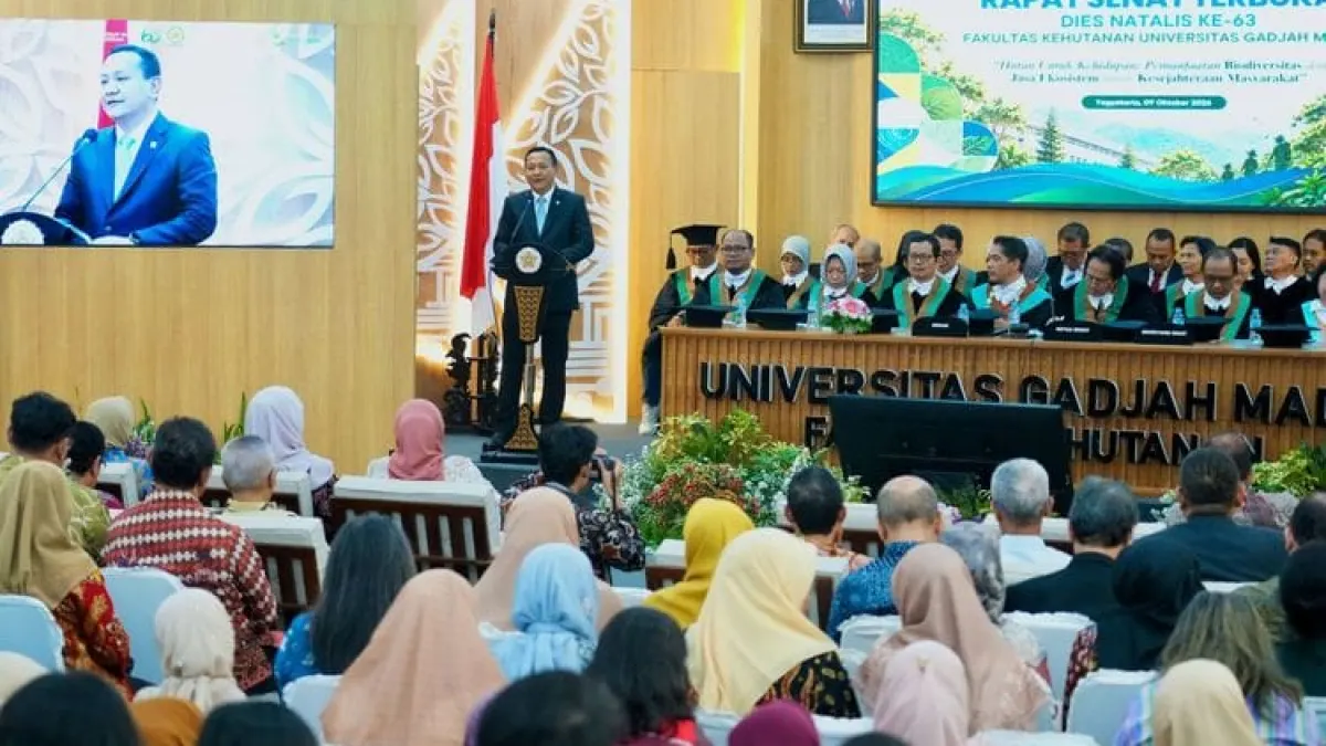 carbon trading Opens Economic Opportunities for Forest Residents, Approval Exceeds 31.7 Million Tons