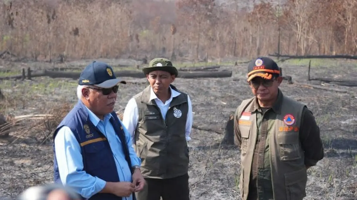 East Kalimantan Karhutla Threatens IKN Areas, Three Companies Threatened by Sanctions