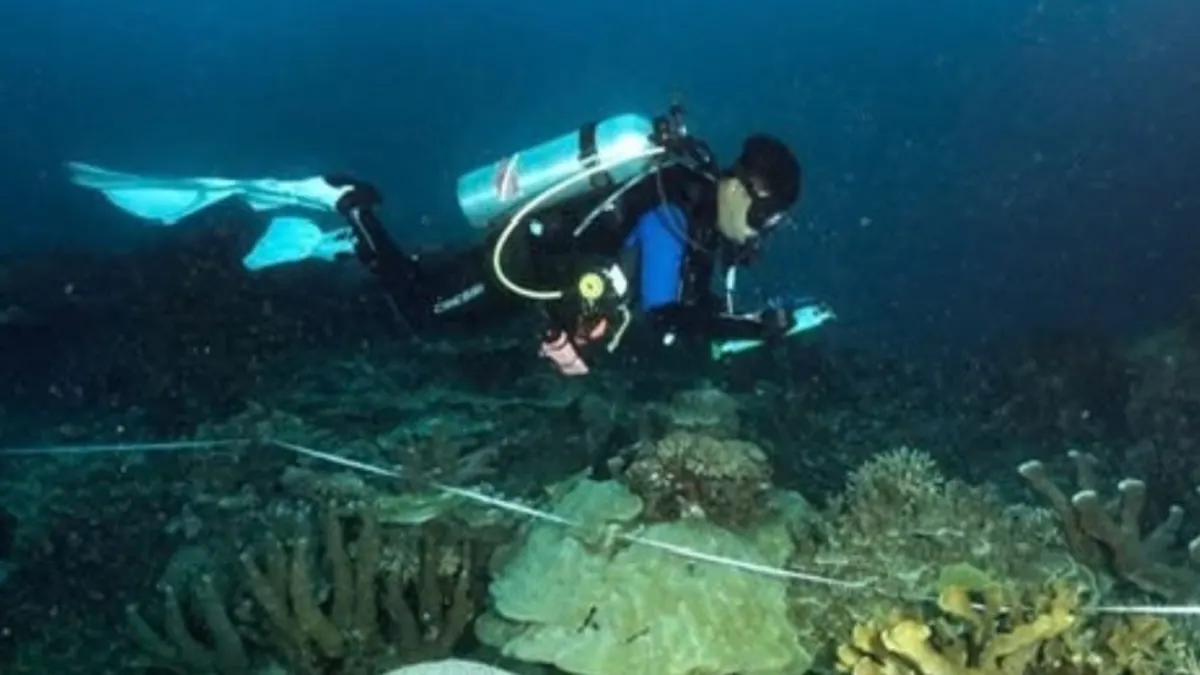 KKP Designates 162,874 Hectares of Maksegara Sea in Southwest Papua as a Conservation Area