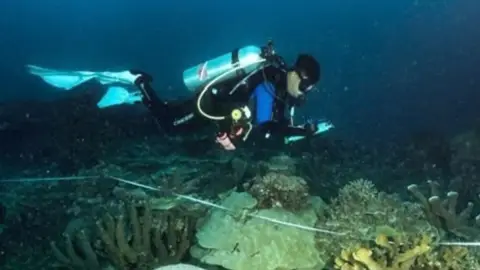 KKP Designates 162,874 Hectares of Maksegara Sea in Southwest Papua as a Conservation Area