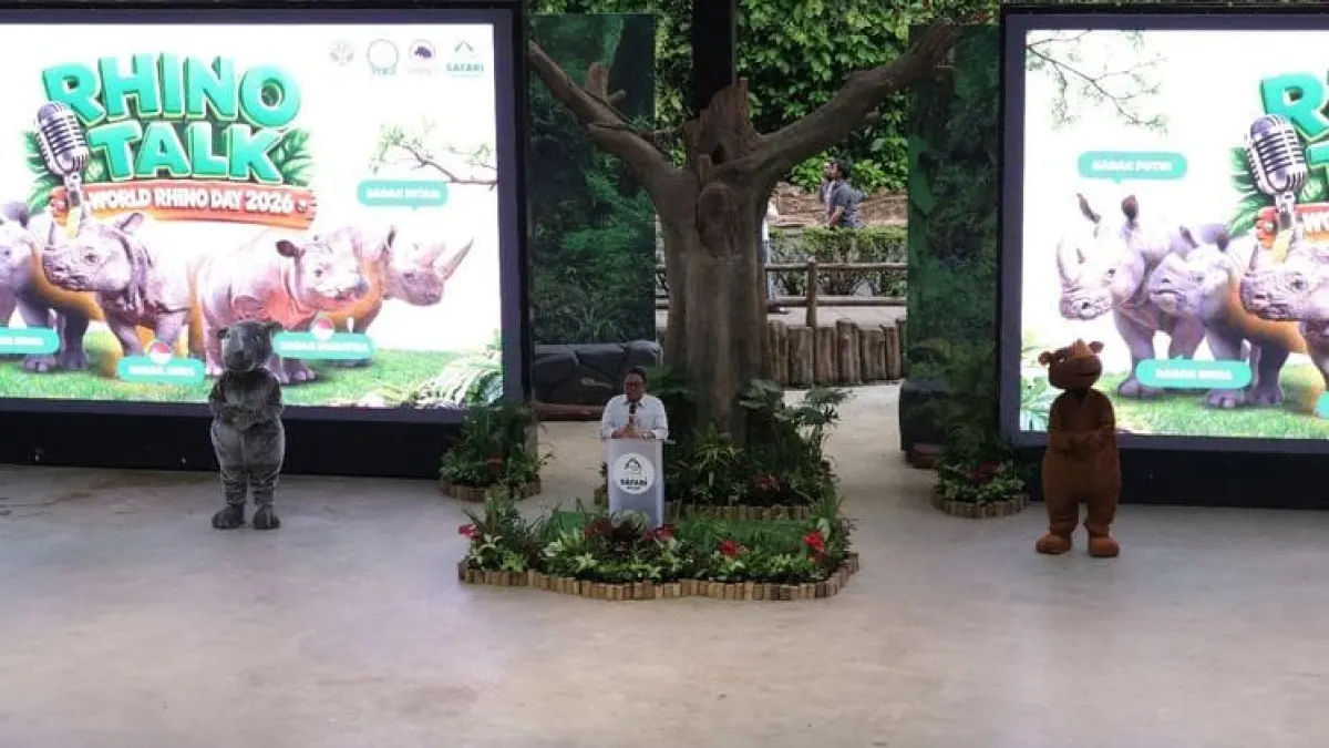 Two Sumatran Rhinos in Way Kambas are Pregnant, New Hope for Critical Animals
